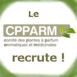 le-cpparm-recrute