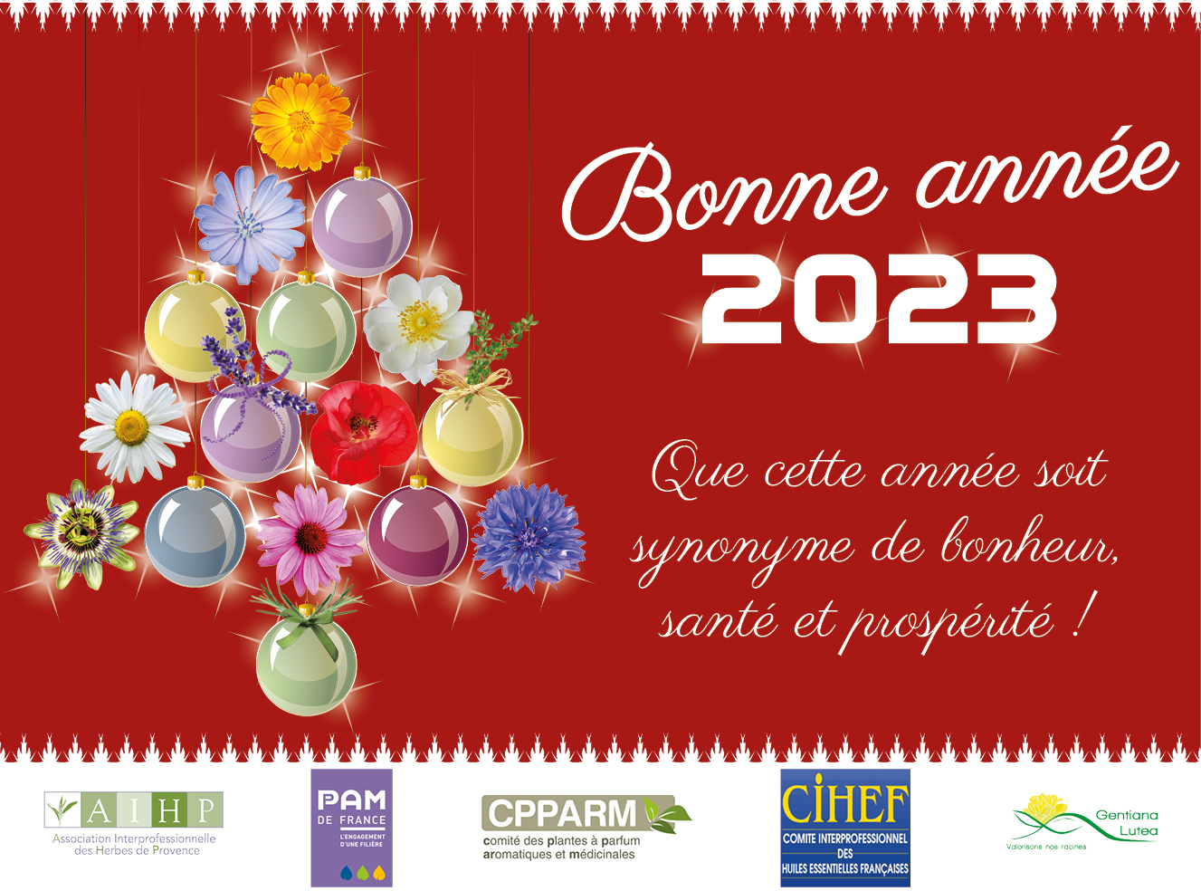 Bonne Année 2023 !